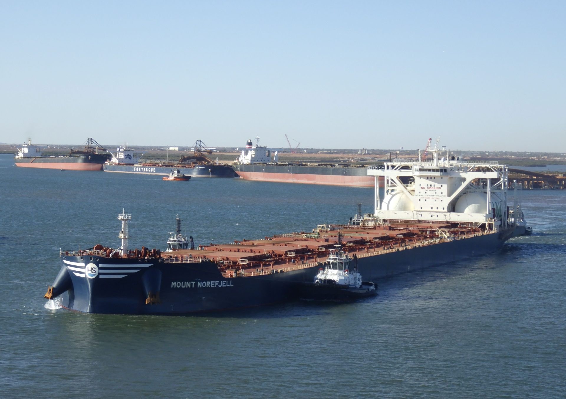 Балкеры Himalaya Shipping на СПГ-топливе заработали $52 900 в сутки в июне